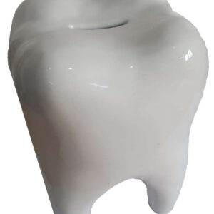 Spardose Zahn, 1 Stück