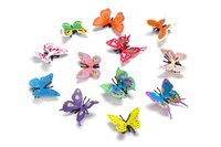 butterfly – Bild 3