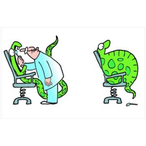 Postcard green snake