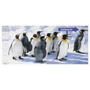 Recall Karten Pinguine, 150 Stück
